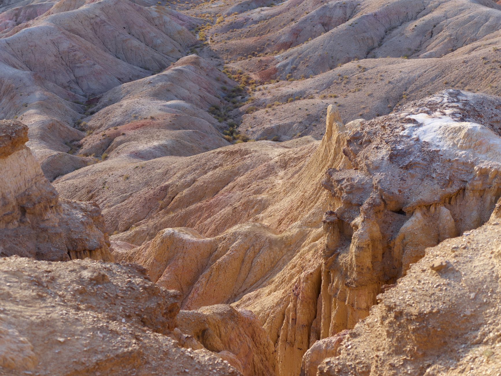 American Rare Earths stock