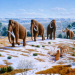 Ice Age Europeans