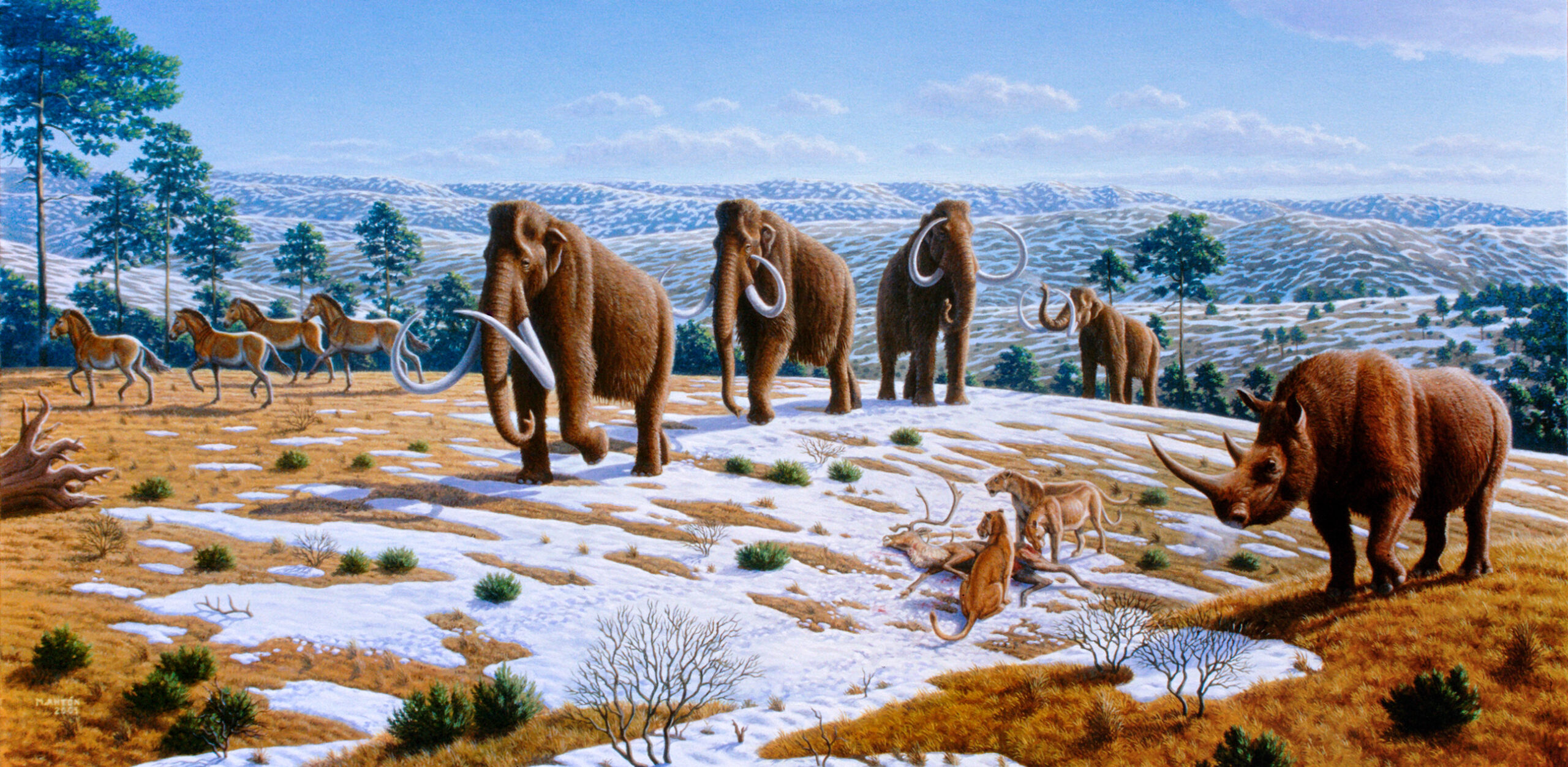 Ice Age Europeans